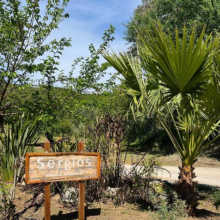 Sergios Koukounaries Ngoại thất bức ảnh